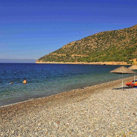 Melinda Pension & Restaurant Mesudiye  Zewnętrze zdjęcie
