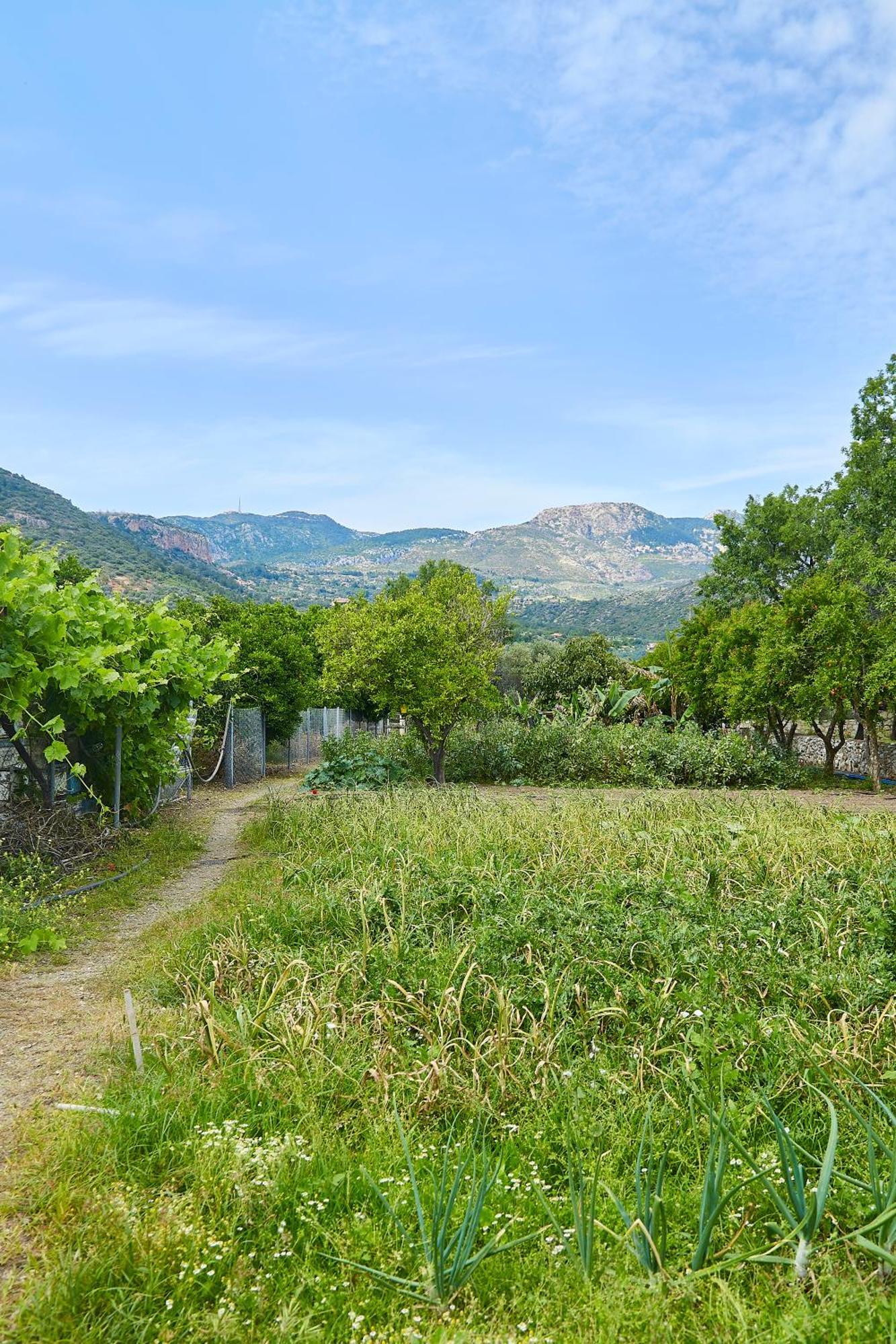 Melinda Pension & Restaurant Mesudiye  Zewnętrze zdjęcie